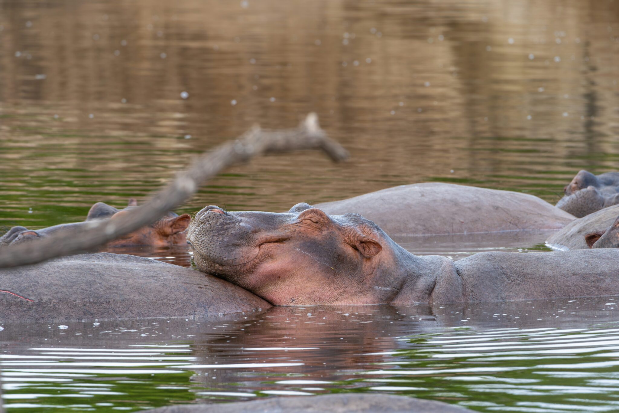 Nyerere National Park