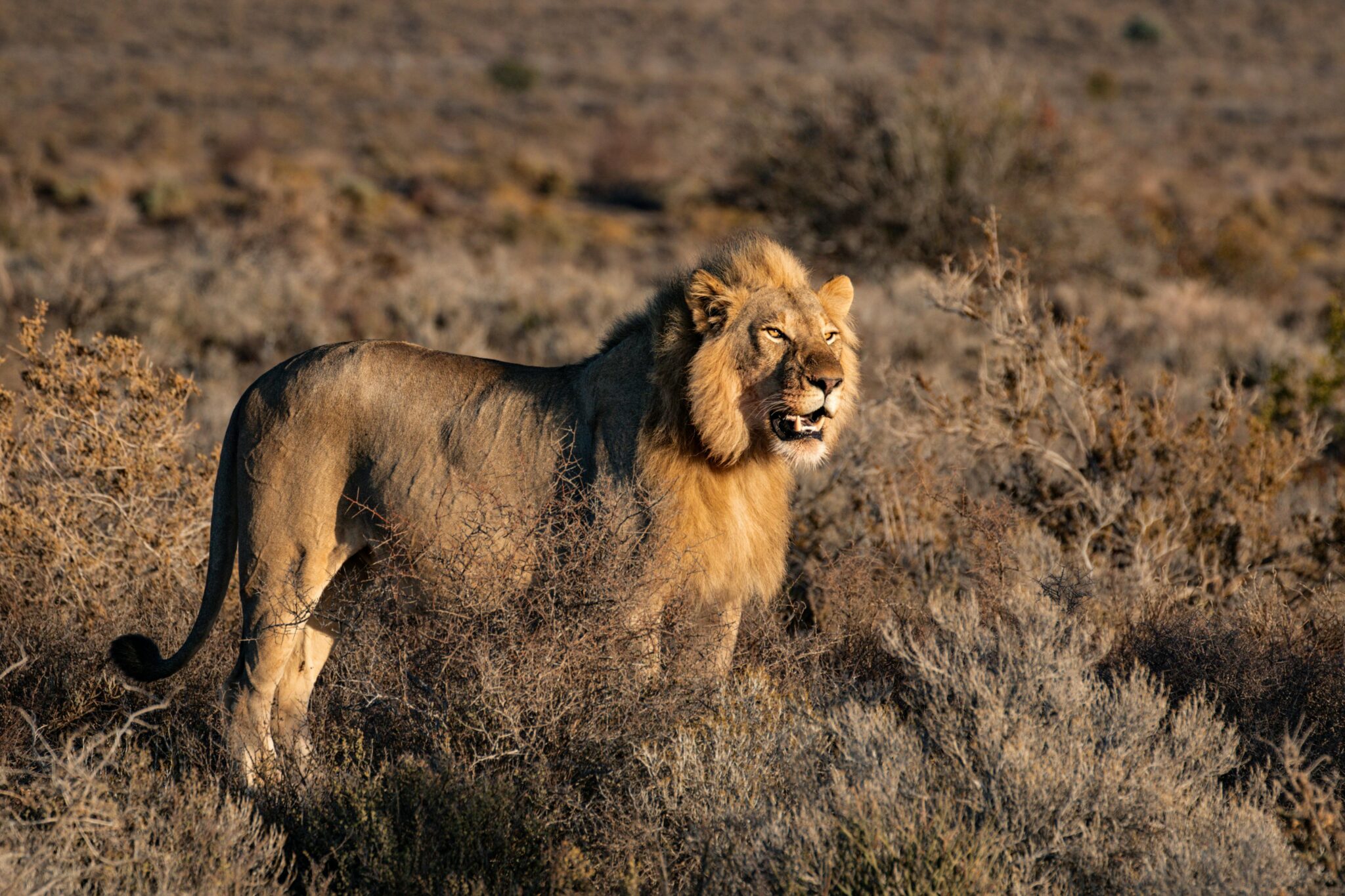 Lake Manyara National Park