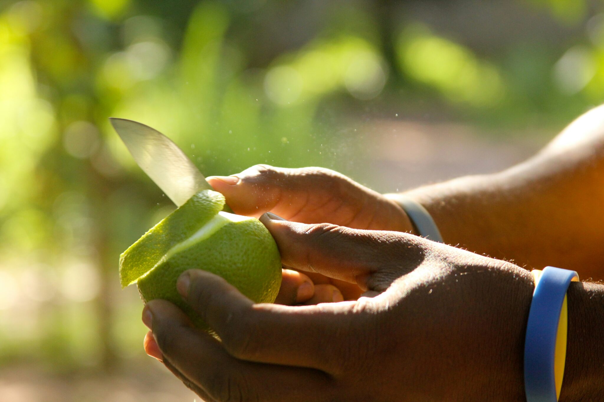 Spice Tour: The magic of spices