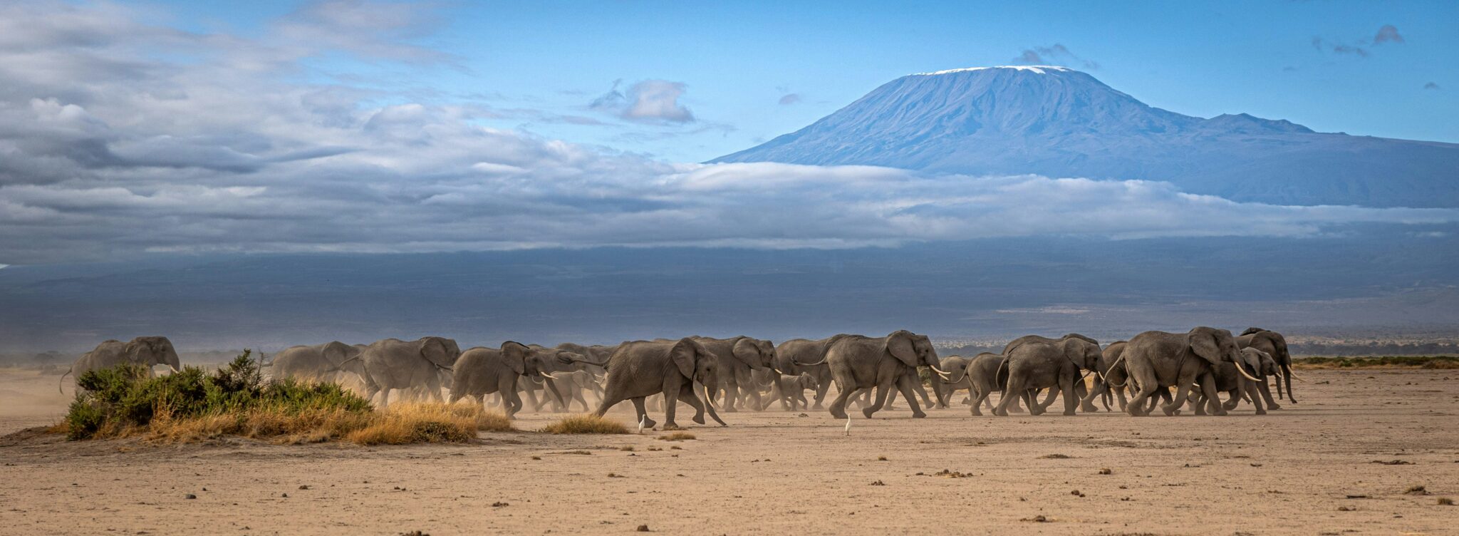 Amboseli