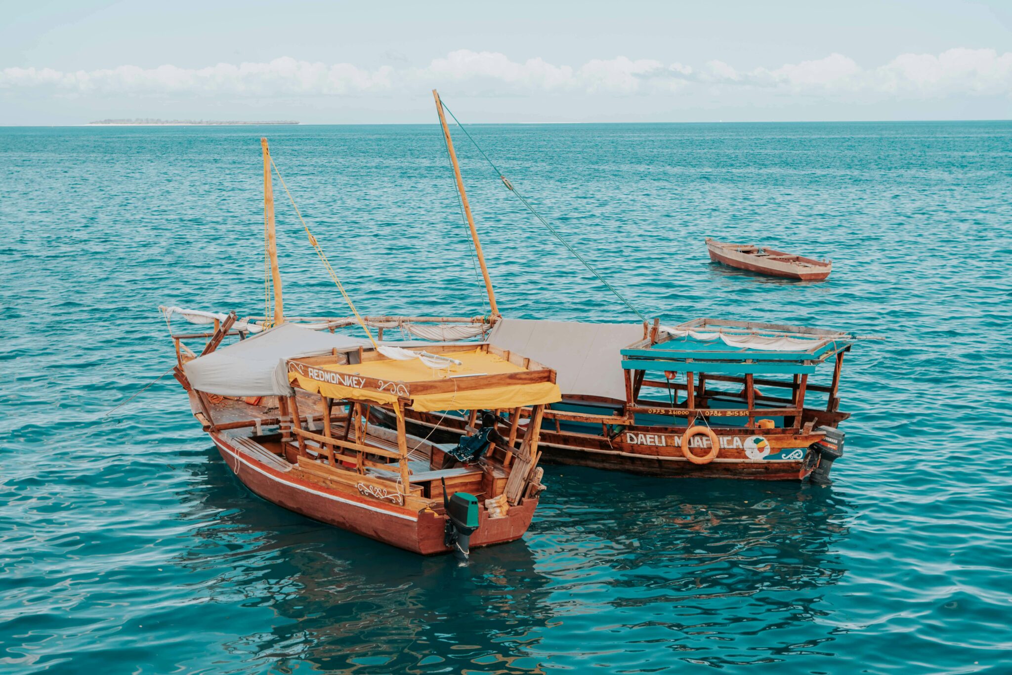 Dhow Safari